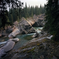 Hummingbird Large Format Film Photography by Dean Ward