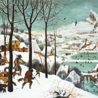 Red Deer Artist photos