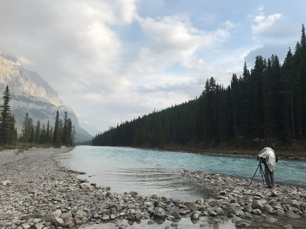 Dean Ward Photography